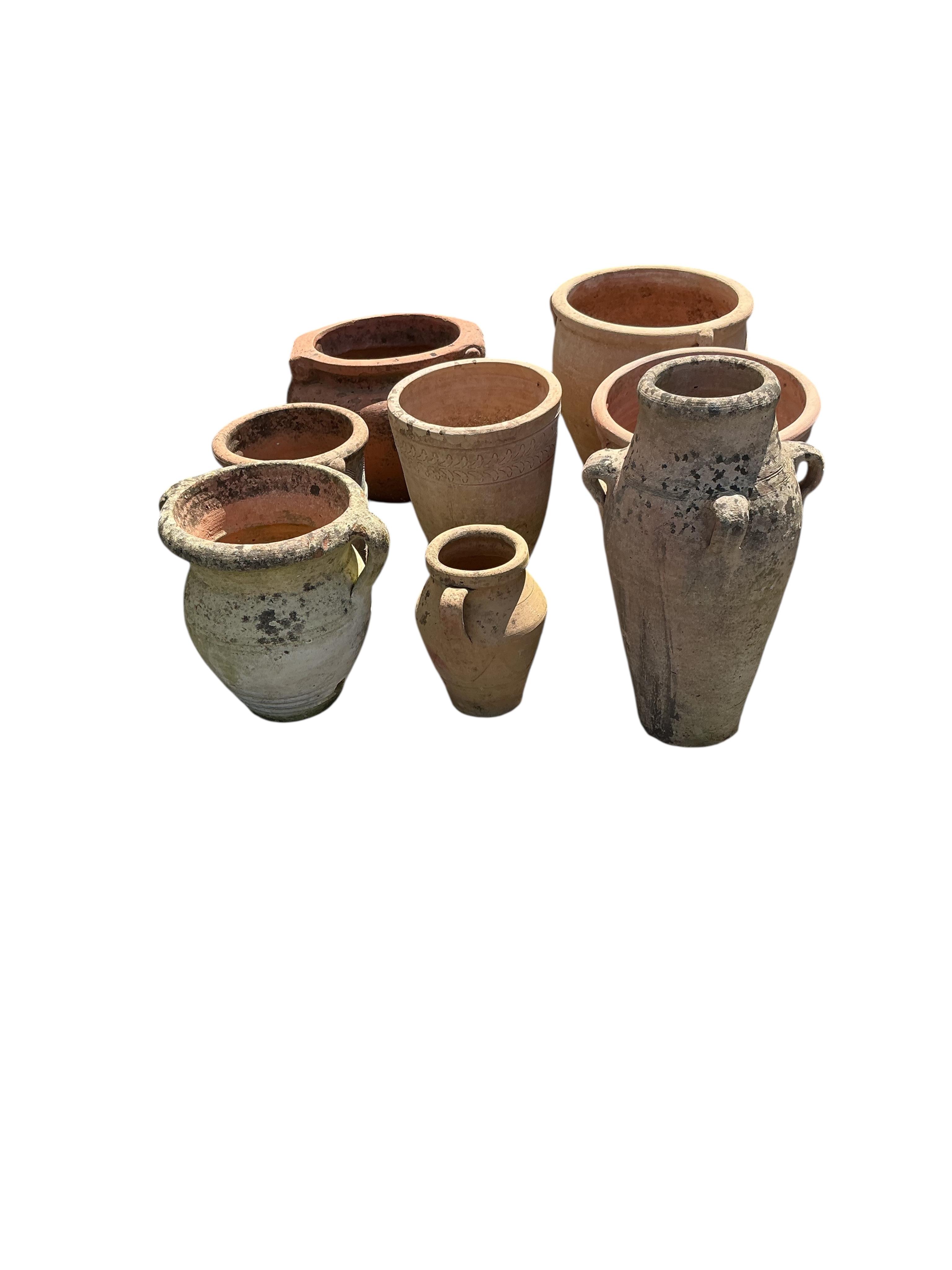 Eight terracotta garden planters, largest diameter 29cm, height 29cm